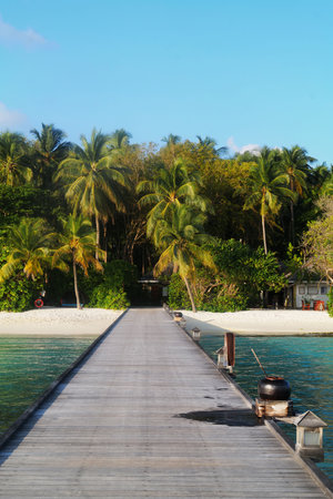 Dreamlike beach with palm trees in the Maldives. Baa Atollの写真素材