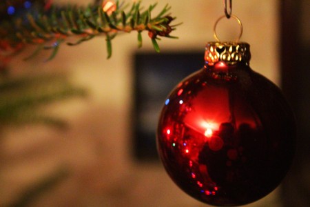 Pine tree branch and red ball の写真素材