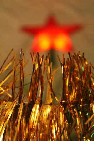 Defocused orange star on the top of the fir treeの写真素材