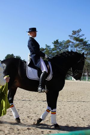 Horsewoman on the black horseのeditorial素材