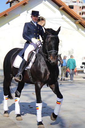 Horsewoman on the black horseのeditorial素材