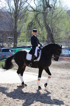 Horsewoman on the black horseのeditorial素材