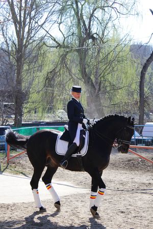 Horsewoman on the black horseのeditorial素材