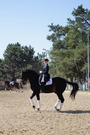 Horsewoman on the black horseのeditorial素材