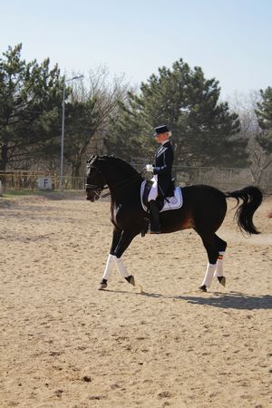 Horsewoman on the black horseのeditorial素材