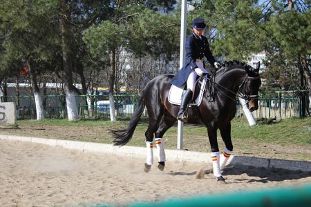 Horsewoman on the black horseのeditorial素材