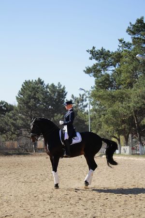 Horsewoman on the black horseのeditorial素材