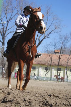 Horsegirl on the chestnutのeditorial素材