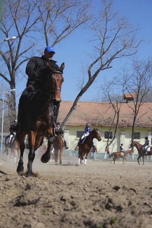 Rider on the horseのeditorial素材