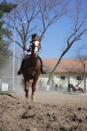 Rider on the horseのeditorial素材