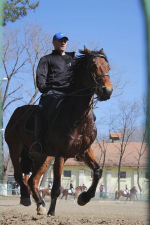 Horseman on the chestnut horseのeditorial素材
