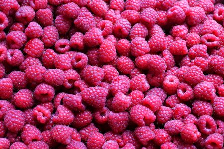 Raspberriesの写真素材