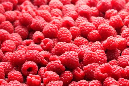 Raspberriesの写真素材