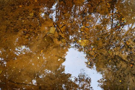 water reflectionの写真素材