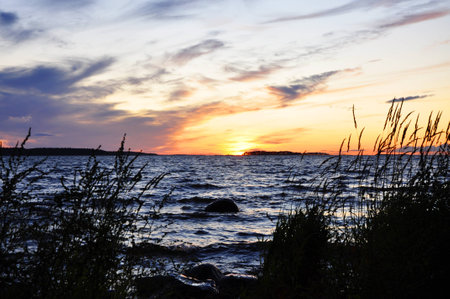 sunset and grassの写真素材