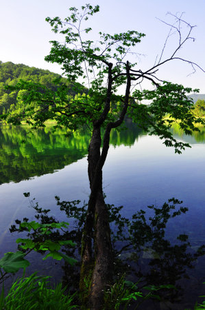 mirrorr lakeの写真素材