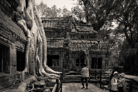 Siem Reap, Cambodia: Ta Prohm Templeのeditorial素材