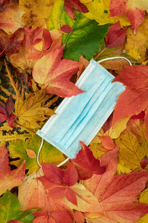 Face mask between colorful autumn leavesの写真素材