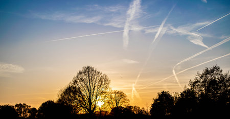 Airstrips in the sky at sunset with trees in the backgroundの写真素材