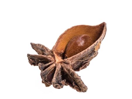 Piece of anise grain on white backgroundの写真素材