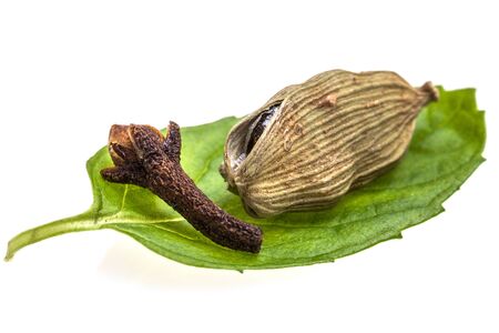 Pod of cardamom and flower of clove on mint leaveの写真素材