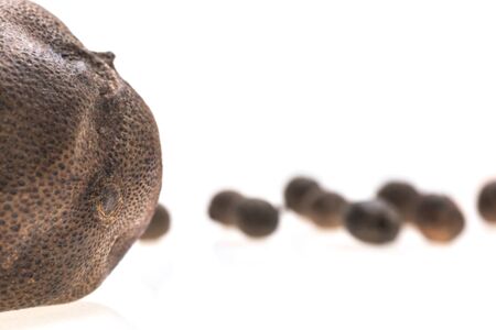 Closeup of dry tangerine and allspice on white backgroundの写真素材