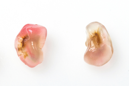 Two seeds of pomegranate on white backgroundの写真素材