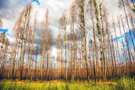 Somewhere in South Africaの写真素材