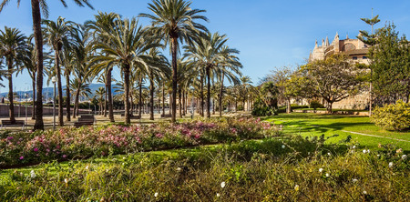 Palma de Mallorca Mallorca Spain at the Cathedral La Seuの写真素材