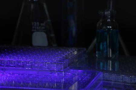 Laboratory equipment, glass and microplates, sterilizing in UV lightの写真素材
