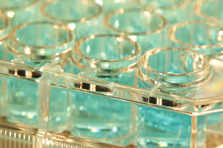 Laboratory microplate ready for spectroscopy readingの写真素材