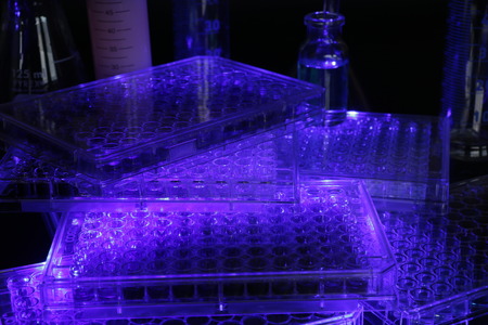 Eppendorf tubes, 96 wells microplateの写真素材