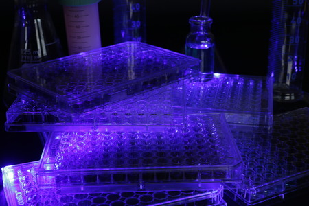Eppendorf tubes, 96 wells microplateの写真素材