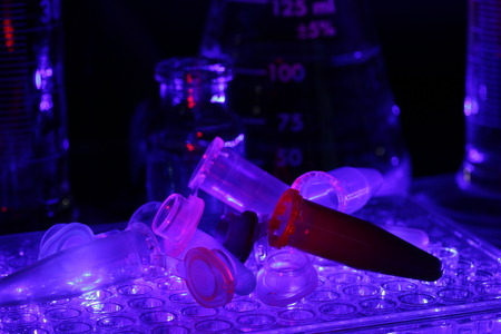 Eppendorf tubes, 96 wells microplateの写真素材