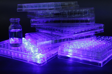 96 well polypropylene microplates ready for spectrophotometer reading (standing in UV light for...