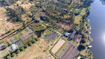 Xochimilco, famous wetlands from Mexico City, Aerial viewの写真素材