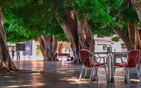 Cafe Under Treesの写真素材