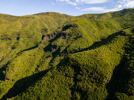 Green mountain landscape with many trees and plants on Madeira Islandの写真素材