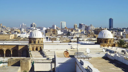 Panoramic view on the city of Tunis. The domes of the Al-Zaytuna Mosque, in the Background the modern buildings of the new City or \\\"ville nouvelle\\\"の写真素材