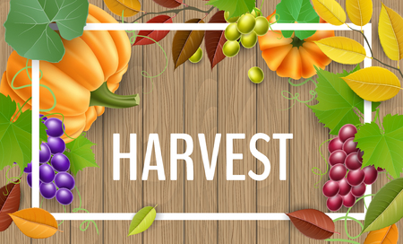 Realistic vector illustration for harvest season and autumn design.のイラスト素材