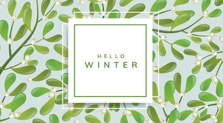 Horizontal banner with square paper frame and mistletoe plant pattern background. Elegant frame with white berry and green leaf for Christmas and other winter holiday and celebrationのイラスト素材