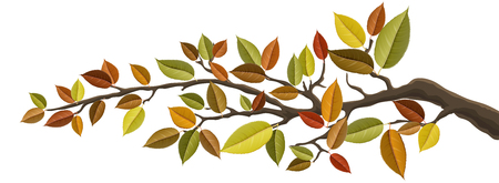Autumn tree branch with colorful autumn leaf set. Vector illustration for horizontal banner, isolated on white for nature designのイラスト素材