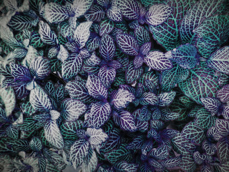 greenleafの写真素材