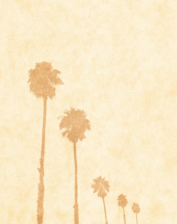 Palm tree silhouettes on a paper background.の写真素材