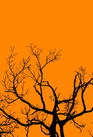A graphic rendition of an old, gnarled tree in halloween colors.の写真素材