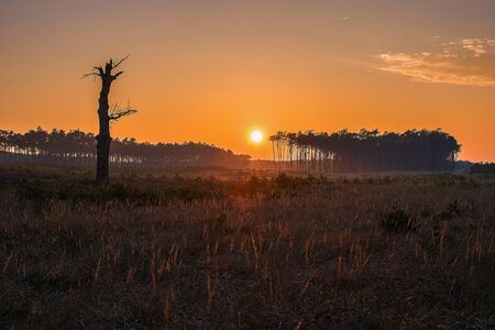 Sunset in Slovakiaの写真素材