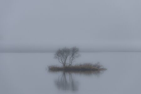 small Island in the Fog with trees