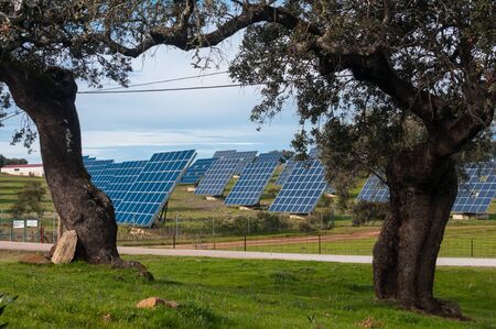 collector, solar plant on field