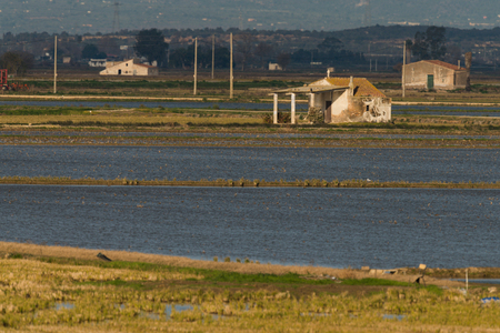 farmhouse with rice fields in the Ebro deltaの写真素材