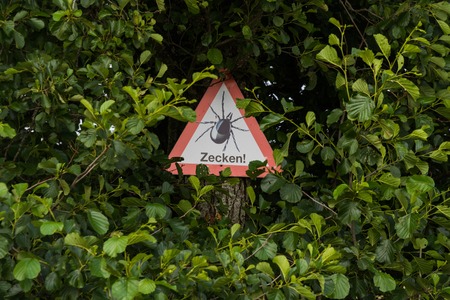 Warning: Danger by ticks Lyme diseaseの写真素材